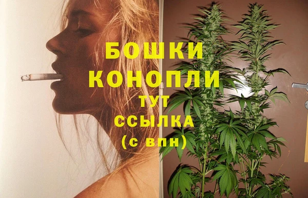 гидропоника Карталы