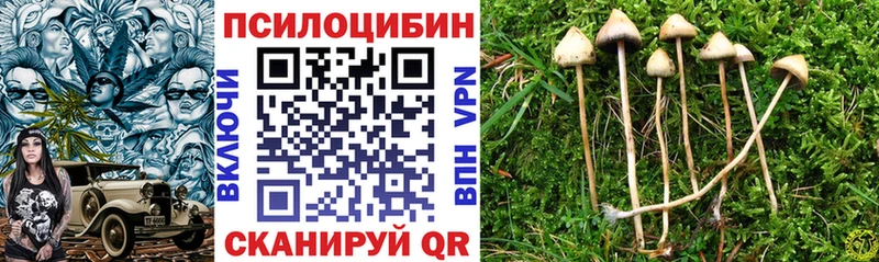 Галлюциногенные грибы Psilocybine cubensis  Купить где  Новочебоксарск 